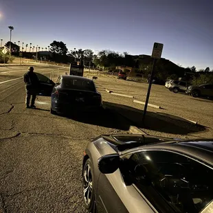 This morning, there were javelina by the parking