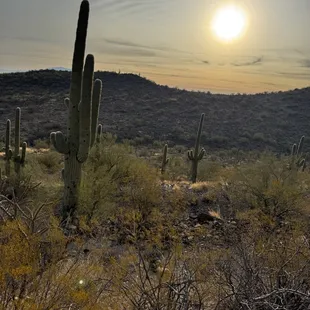 50° this Saturday morning, February 1