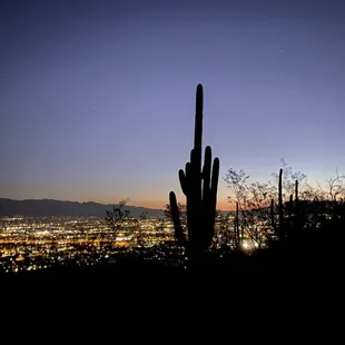 Thursday morning adventure at 5 AM