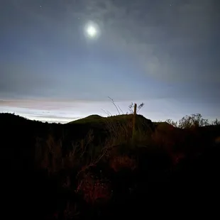 At 6am the early light