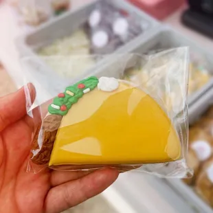 a hand holding a taco