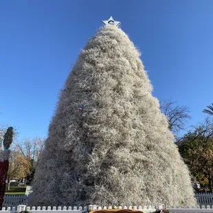 Tumbleweed Christmas Tree