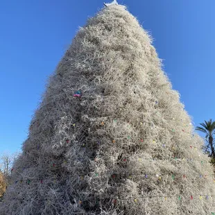Tumbleweed Christmas Tree