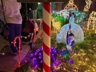 Lee & Patricia Sepanek's Holiday Lights