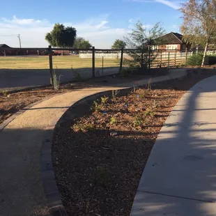 The butterfly &amp; pollinating garden