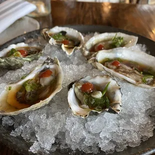 East &amp; West Coast Raw Oysters