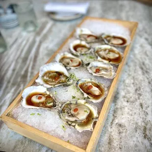 Oysters