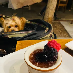 Chocolate Creme Brûlée