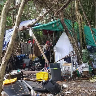 a tent in the woods