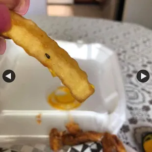 Roach on fries