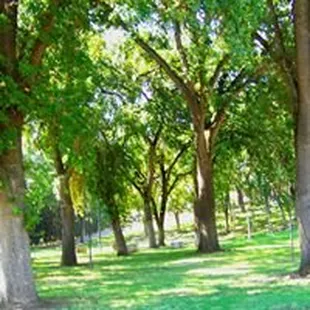 Lower Grounds.