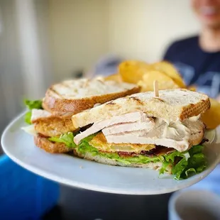 a turkey sandwich on a plate