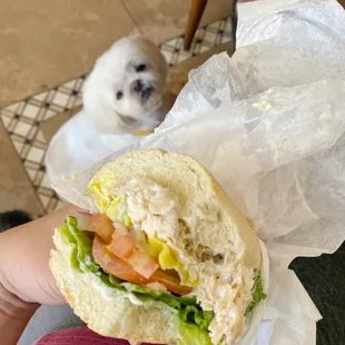 Egg Salad Sandwiches
