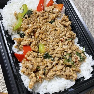 Favorite Basil on Rice (Gapow Gai)