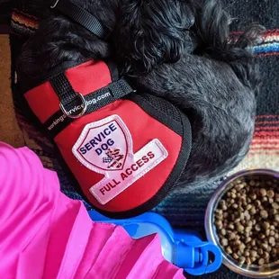 Service dog friendly on the inside. A relief for folks with nom-visible disabilities.