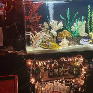 a fish tank filled with beer and fish