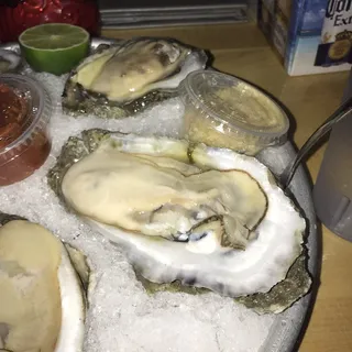 Oyster