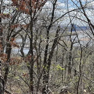 See the water behind the trees? This is why I love these trails.