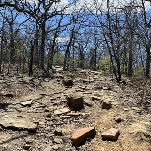 Some of the terrain of the trails.