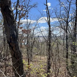Being completely surrounded by nature here! Look at the skies, clouds, water, and trees!!