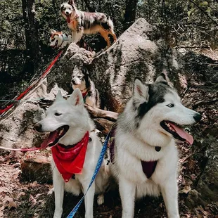 Photo ops on the trails