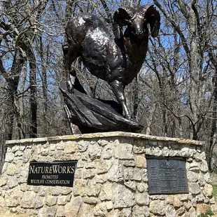 The Nature Walk Trails!