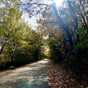 Westbank trail found near red trail