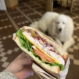 Turkey plus with Stuffing &amp; Cranberry Sauce