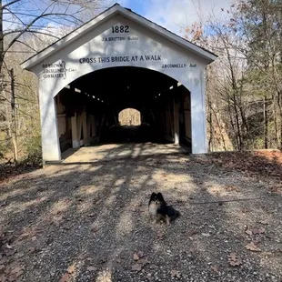 Turkey Run State Park