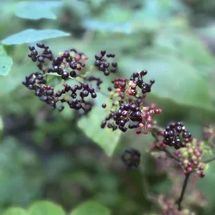 might not wanna eat that