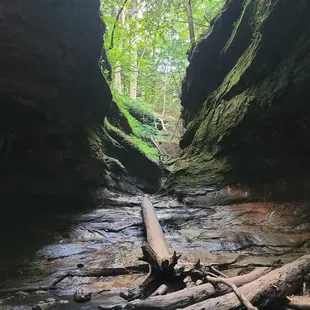 The trail goes up the water. Absolutely stunning.
