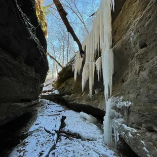 Bear Hollow (trail 5)