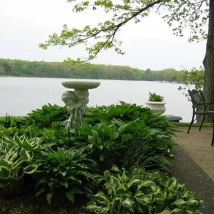 Patio View of Turkeyfoot Lake