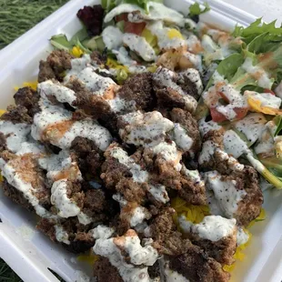 gyro plate