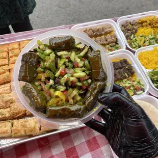 Dolma and vegetarian plate.best food in town