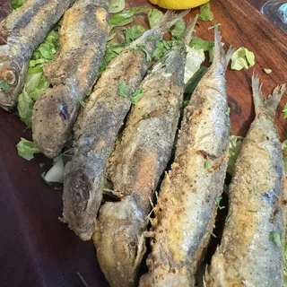 Sardines