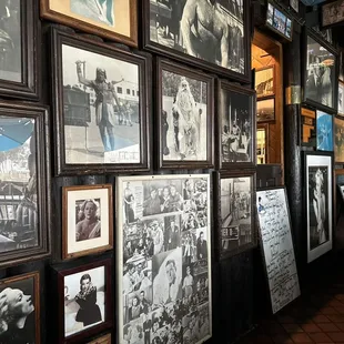 Photos of Turk and friends methinks.