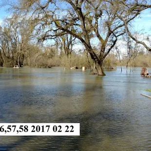 Sites # 51,52,56 57,58 Feb 22, 2017