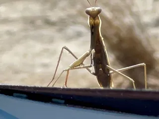 Woodward Resevoir Campsite