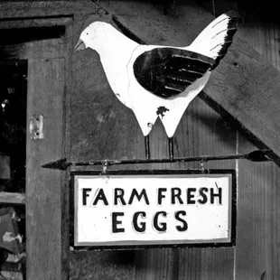 a chicken on top of a sign