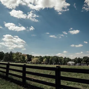 The paddocks at Turner Farm.
