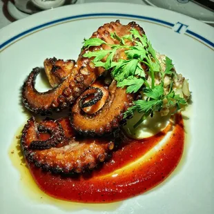 Wood Grilled Octopus