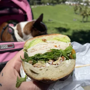 special of the day, the southern belle