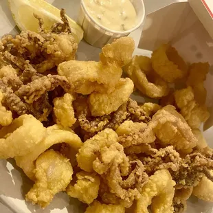 Calamari fried