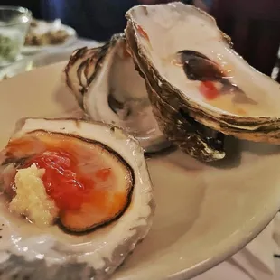 shellfish, mussels, food, oysters, oysters and mussels