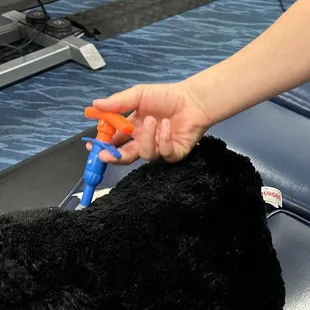 Toy Chiro Clicker helps the bear!