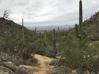 Tortolita Mountain Park