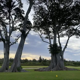 Arnold Palmer Course - Hole# 1 (May 2022)