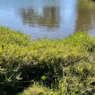 307 yards to water, luckily I went 305