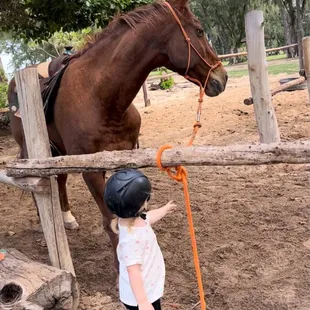 We brought some mini carrots for the horses while we waited for our turn. Oker looks huge next to a 3 year old but was so gentle.